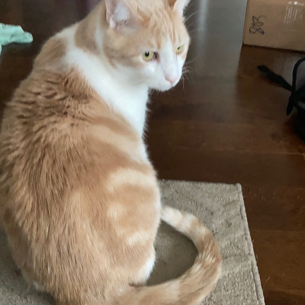 Meet your Posher, Sara